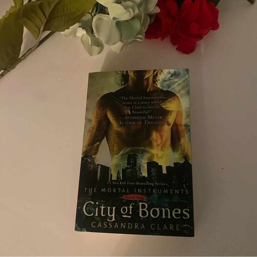 The Mortal Instruments Book Paperback - Picture 5 of 6